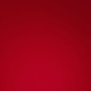 Meet your Posher, Meena